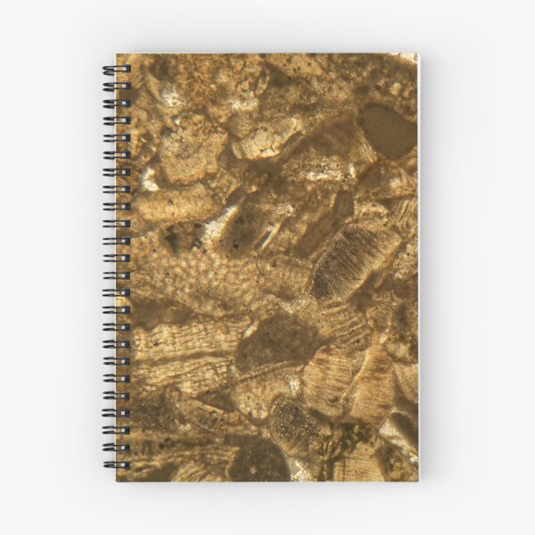 Item preview, Thin section of Miocene limestone under the microscope designed and sold by Zosimus.