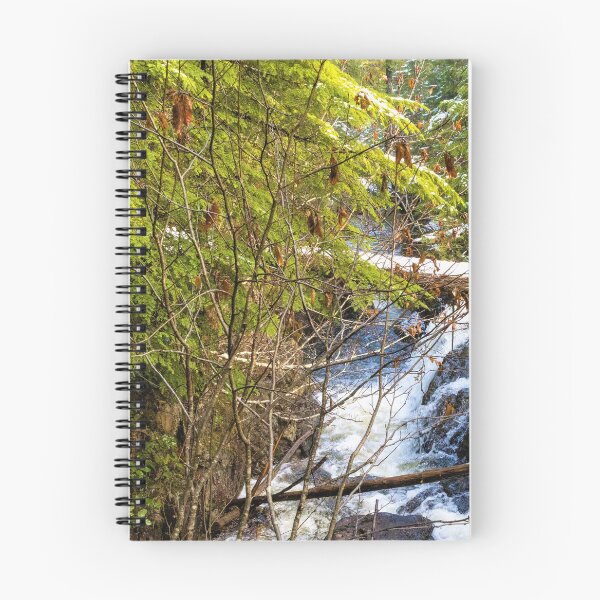 Item preview, River And Tree Branches. Comox Strathcona, British Columbia designed and sold by PureCanvas.