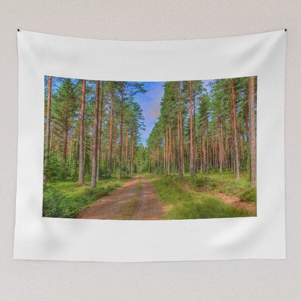 Item preview, Forest path 2 designed and sold by Veikko  Suikkanen.