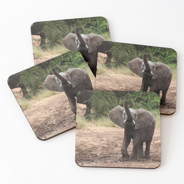 Item preview, Little Elephant with a Big Attitude designed and sold by Jean-Marie Heyman.