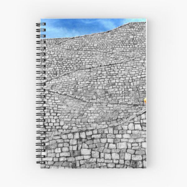 Item preview, Steps designed and sold by Richard Allen.