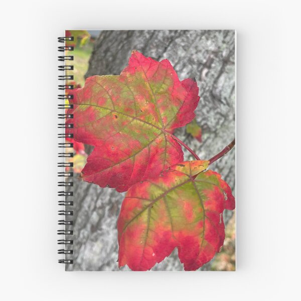 Aperçu de l'œuvre Feuilles d'automne, feuilles d'automne, couleurs de la nature, feuilles colorées créée et vendue par BuddingRosecom.
