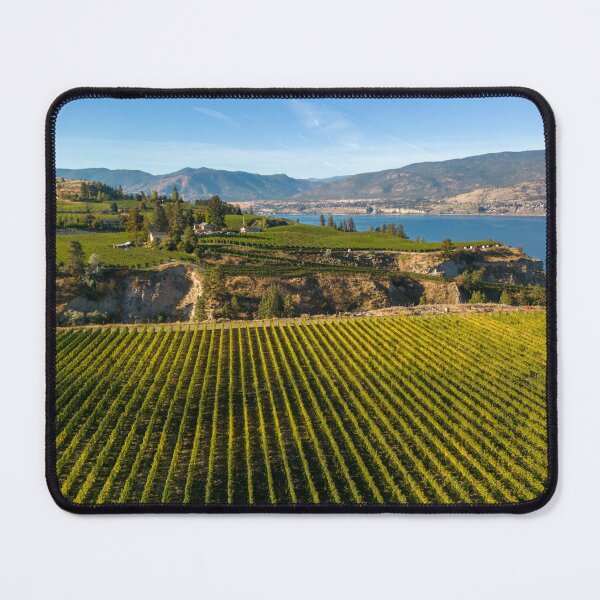 Item preview, Naramata Bench Winery Vineyard Penticton Okanagan Valley designed and sold by Kevin Miller Photography.