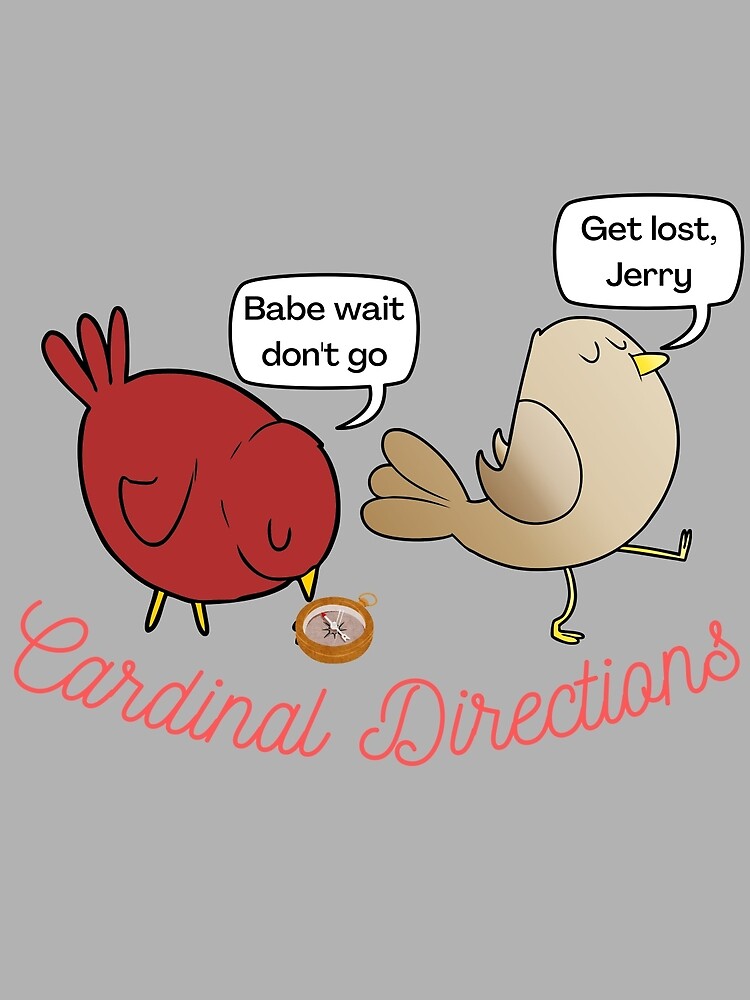 "Cardinal Directions Pun Jerry" Poster for Sale by LatterDaze Redbubble