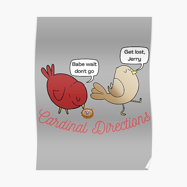 "Cardinal Directions Pun Jerry" Poster for Sale by LatterDaze Redbubble