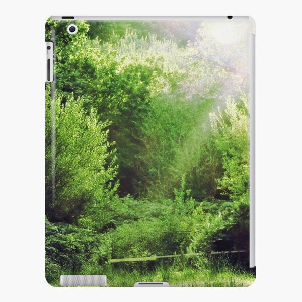 landscape iPad Snap Case