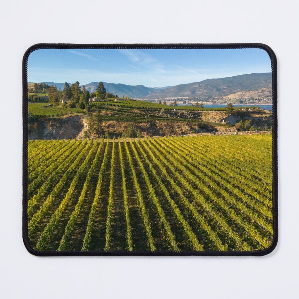 Item preview, Naramata Bench Winery Vineyard Penticton Okanagan Valley designed and sold by Kevin Miller Photography.