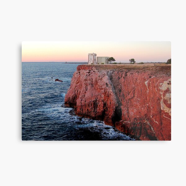 The King of the Rock Metal Print