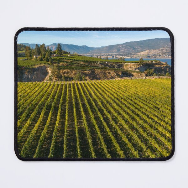 Item preview, Naramata Bench Winery Vineyard Penticton Okanagan Valley designed and sold by Kevin Miller Photography.
