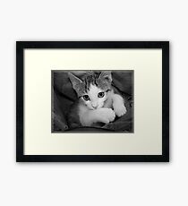 Playing Framed Print