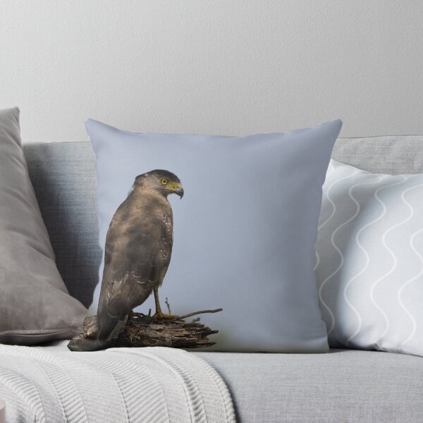 Item preview, Buzzard, Sri Lanka designed and sold by Tonywallbank.