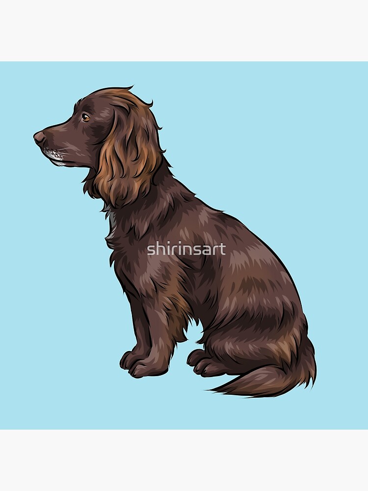 Sprocker gifts clearance