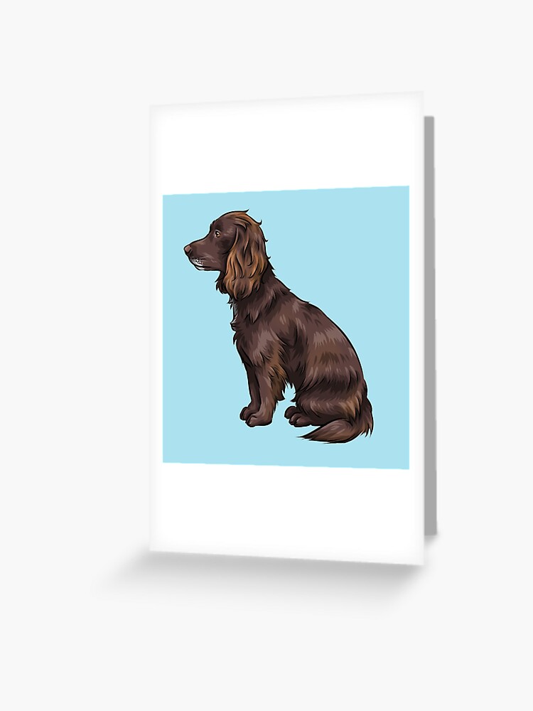 Liver sprocker sales