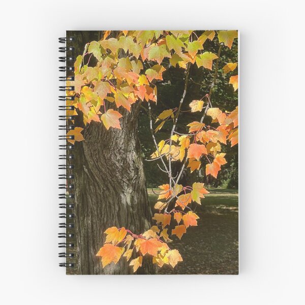 Aperçu de l'œuvre Feuilles, Rouge, Jaune, Lac, Baies, Automne créée et vendue par BuddingRosecom.