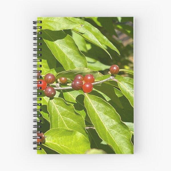Aperçu de l'œuvre Feuilles, Rouge, Jaune, Vert, Baies, Automne créée et vendue par BuddingRosecom.