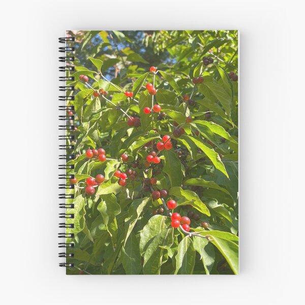 Artikelvorschau, Blätter, Rot, Gelb, Grün, Beeren, Herbst, Herbst entworfen und verkauft von BuddingRosecom.