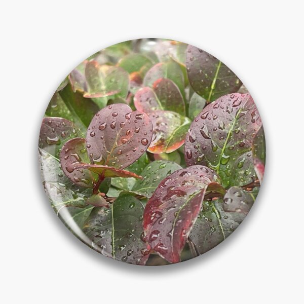 Artikelvorschau, Blätter, Rot, Gelb, Grün, Beeren, Herbst, Herbst entworfen und verkauft von BuddingRosecom.