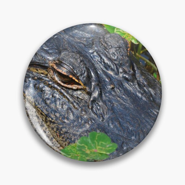 Item preview, Up Close Alligator designed and sold by LisaWootenPhoto.