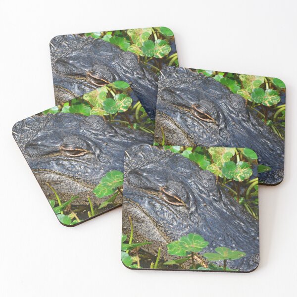 Item preview, Up Close Alligator designed and sold by LisaWootenPhoto.