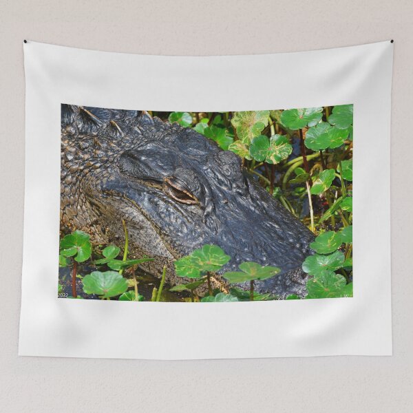 Item preview, Up Close Alligator designed and sold by LisaWootenPhoto.