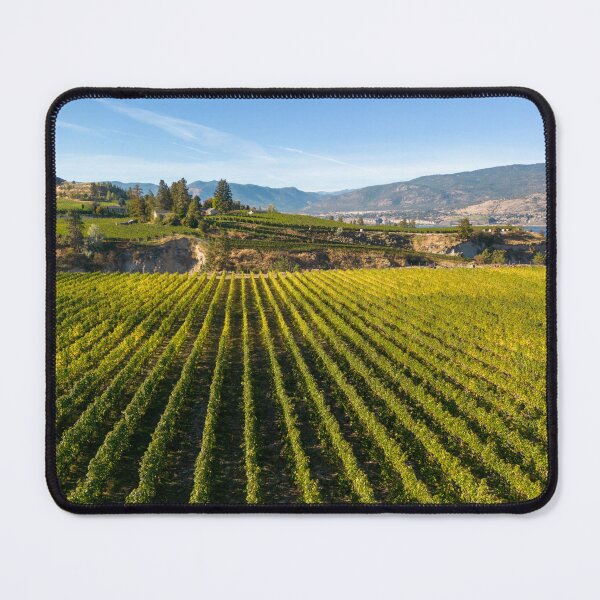 Item preview, Naramata Bench Winery Vineyard Penticton Okanagan Valley designed and sold by Kevin Miller Photography.