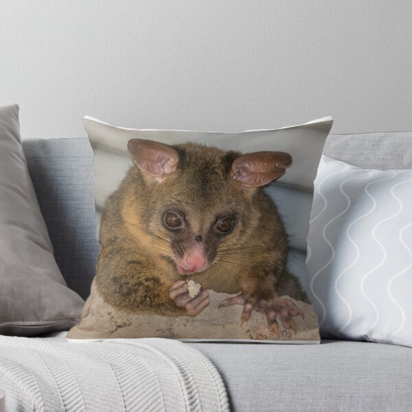 Item preview, Hungry Possum designed and sold by Graeme Bayley.