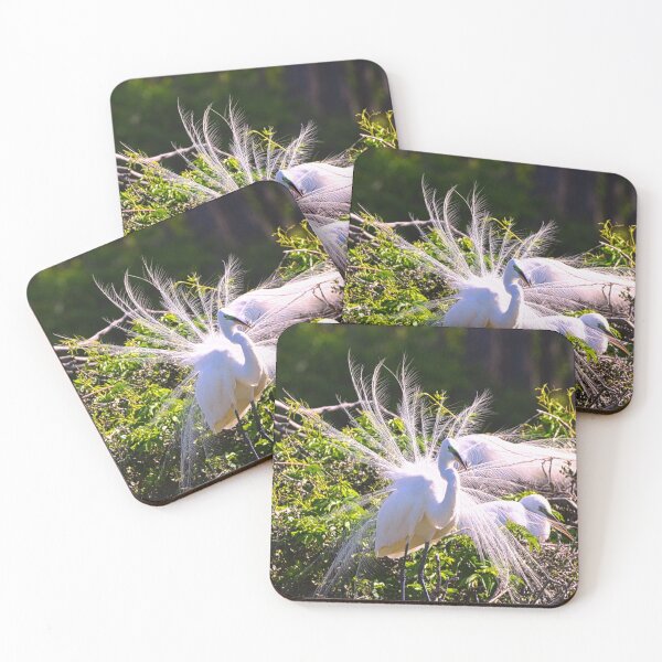 Item preview, Hey Ladies Look At Me designed and sold by LisaWootenPhoto.