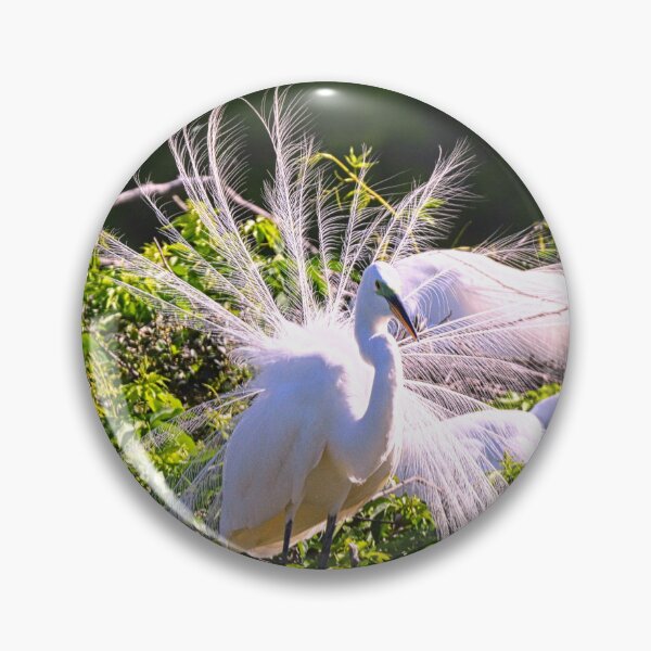 Item preview, Hey Ladies Look At Me designed and sold by LisaWootenPhoto.