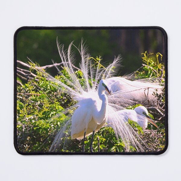 Item preview, Hey Ladies Look At Me designed and sold by LisaWootenPhoto.