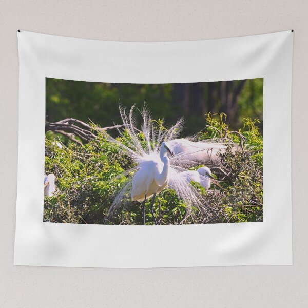 Item preview, Hey Ladies Look At Me designed and sold by LisaWootenPhoto.