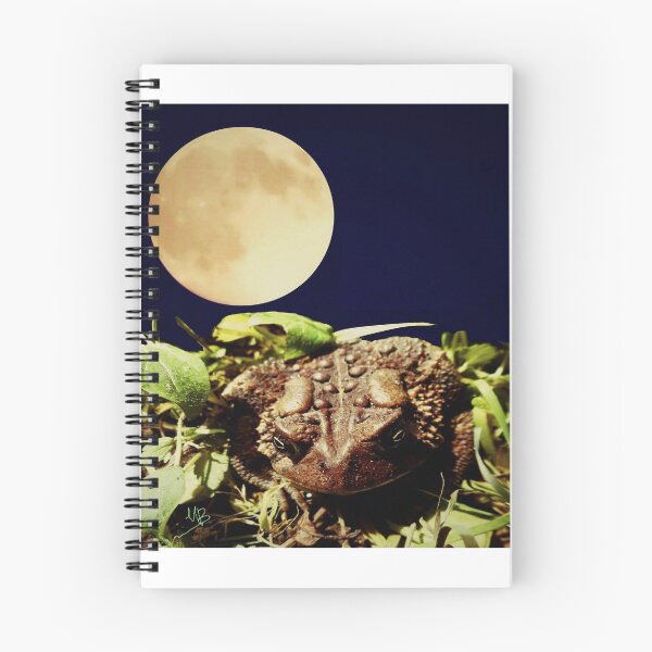 Item preview, The Toad's Moon designed and sold by Mzzart.