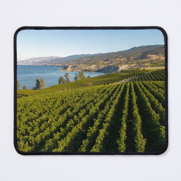 Item preview, Naramata Bench Winery Vineyard Penticton Okanagan Valley designed and sold by Kevin Miller Photography.
