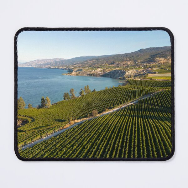 Item preview, Naramata Bench Winery Vineyard Penticton Okanagan Valley designed and sold by Kevin Miller Photography.
