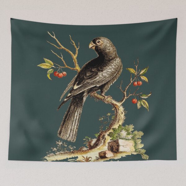 Item preview, Black Parrot - Bird HD vintage image from encyclopedia number 13 designed and sold by MINDTHECHERRY.