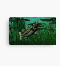 Largemouth Bass Canvas Print