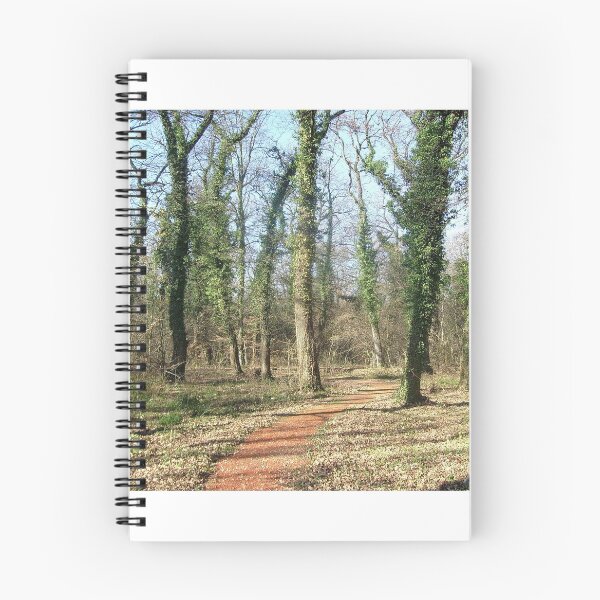 Item preview, Walk designed and sold by Ana Belaj.