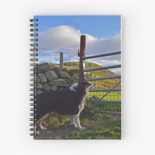 Item preview, Wind in your hair.  designed and sold by Michael Haslam.