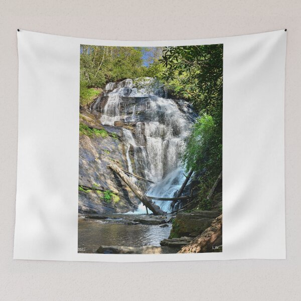 Item preview, Licklog Falls Foothills Trail South Carolina Vertical designed and sold by LisaWootenPhoto.