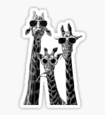 Giraffes On Tour Sticker
