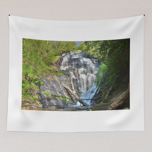 Item preview, Licklog Falls Foothills Trail South Carolina  designed and sold by LisaWootenPhoto.