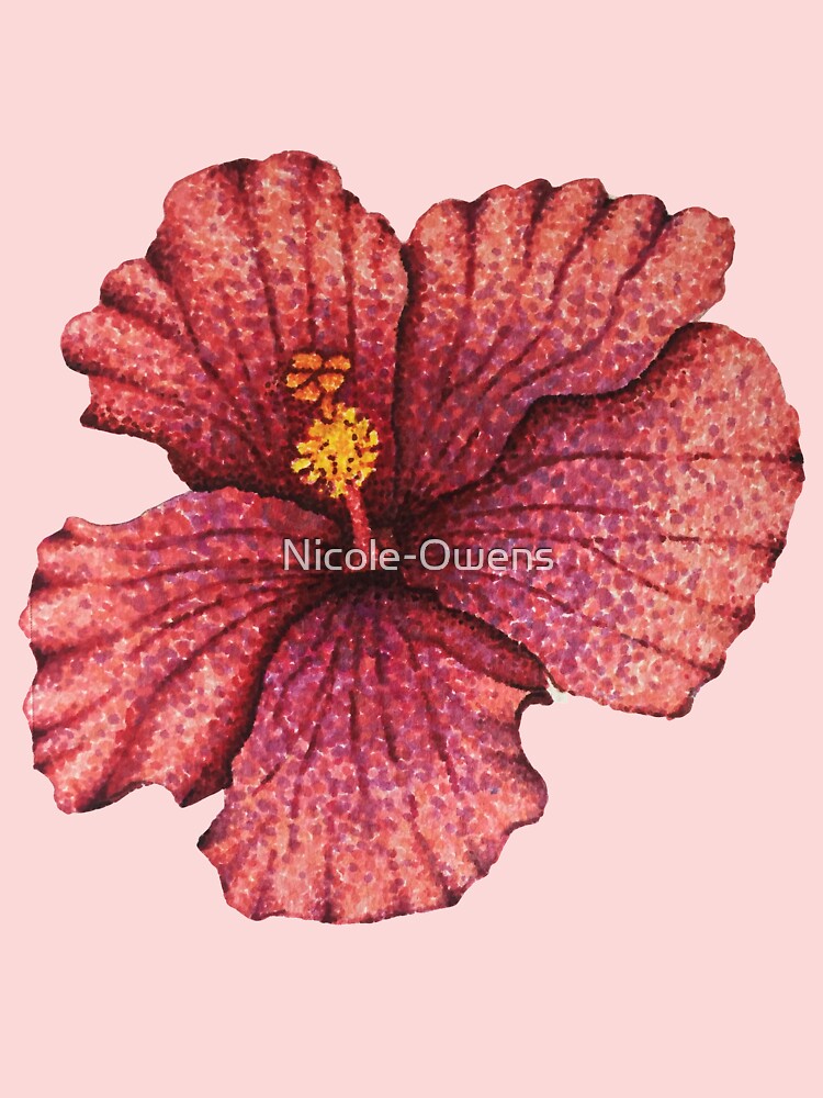 Rangoli | Hibiscus flower drawing, Flower drawing, Beautiful flower drawings