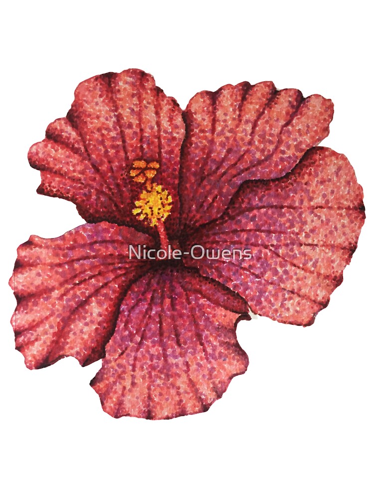 Hibiscus Flowers Pieces