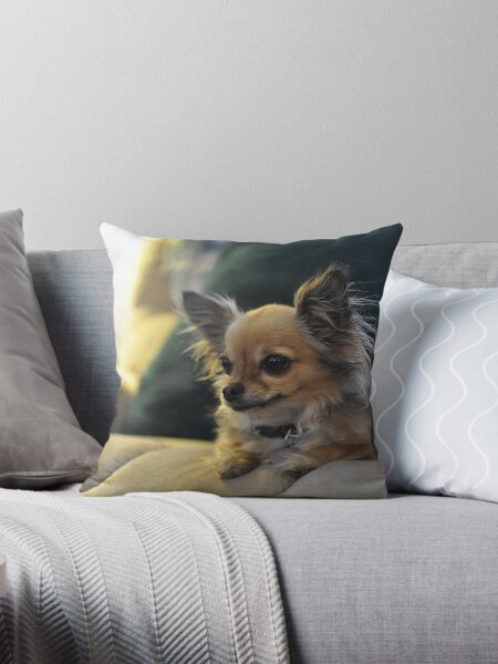Item preview, Long Haired Chihuahua designed and sold by BelleAim.