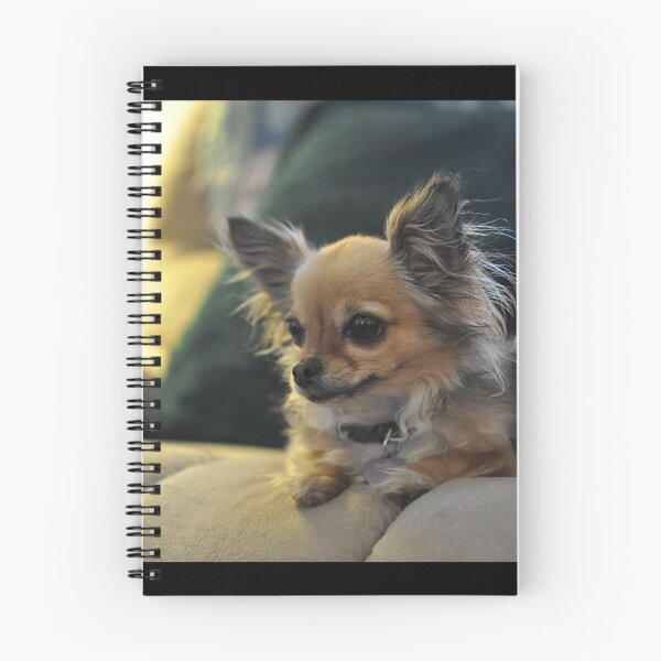 Item preview, Long Haired Chihuahua designed and sold by BelleAim.