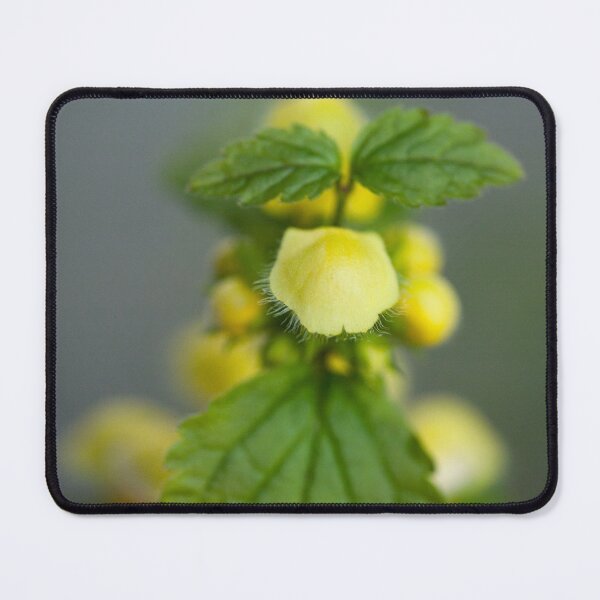 Item preview, Lashes designed and sold by Gabriele Maurus.