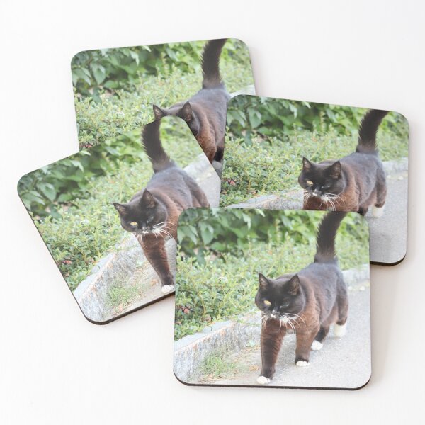 Item preview, Cat - Switzerland designed and sold by AnimaliaArt.