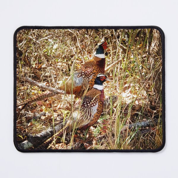 Item preview, Ring-Necked Pheasants designed and sold by DaneSparrowhawk.