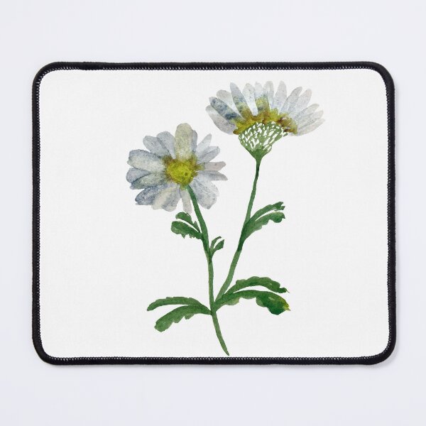 Item preview, Camomile single object watercolor illustration designed and sold by Yana Mustafina | Boho Soulful Designs.