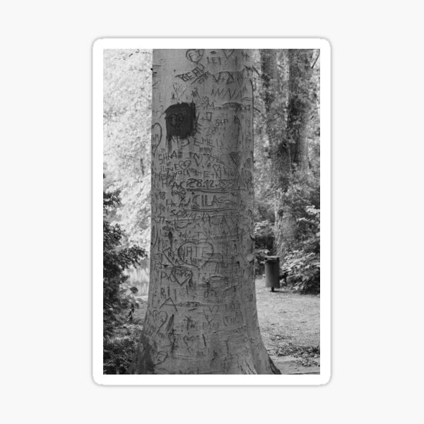 Love Letters on a tree Sticker