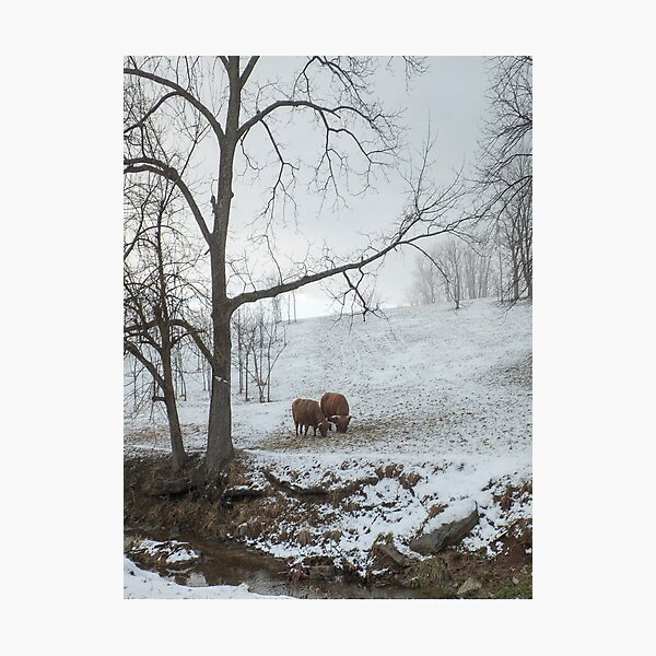 Item preview, pastoral designed and sold by g richard anderson.